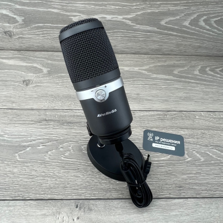 AVerMedia AM310, USB микрофон